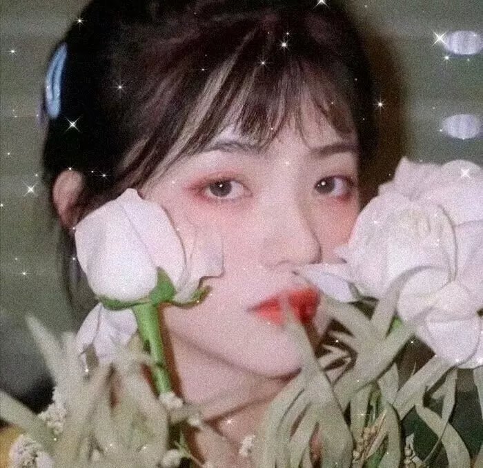 致所有我曾爱过的男孩2