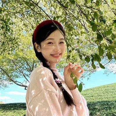 喀布尔的燕子